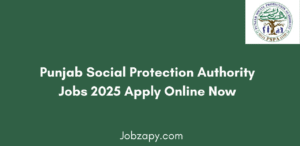 Punjab Social Protection Authority Jobs 2025 Apply Online Now