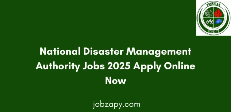 National Disaster Management Authority Jobs 2025 Apply Online Now